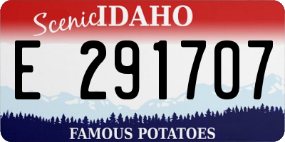 ID license plate E291707
