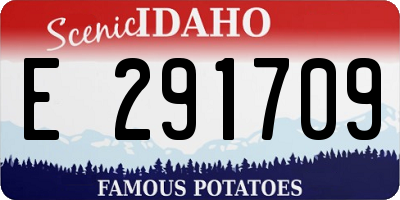 ID license plate E291709