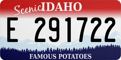 ID license plate E291722