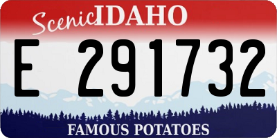 ID license plate E291732