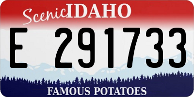 ID license plate E291733