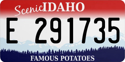 ID license plate E291735