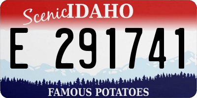ID license plate E291741