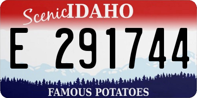 ID license plate E291744