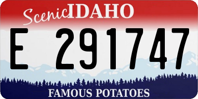 ID license plate E291747