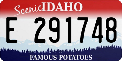 ID license plate E291748