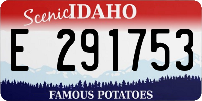 ID license plate E291753