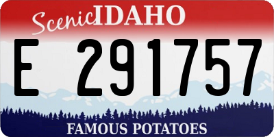 ID license plate E291757