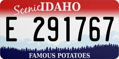 ID license plate E291767