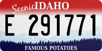 ID license plate E291771
