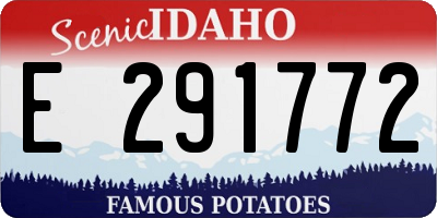 ID license plate E291772