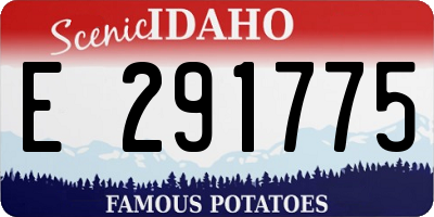 ID license plate E291775