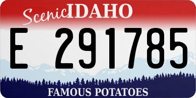 ID license plate E291785