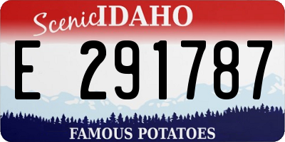 ID license plate E291787