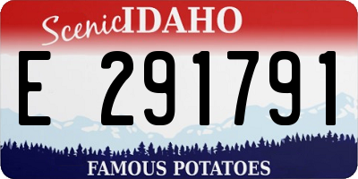 ID license plate E291791