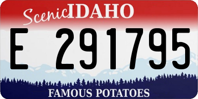 ID license plate E291795