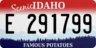 ID license plate E291799