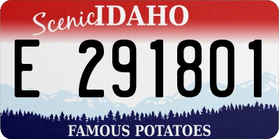 ID license plate E291801
