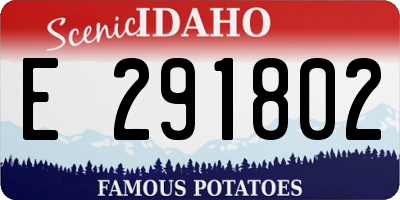 ID license plate E291802
