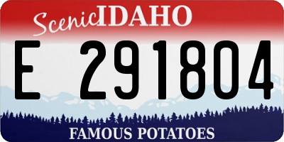 ID license plate E291804