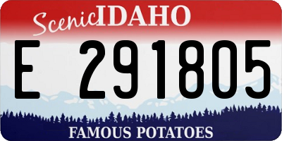 ID license plate E291805