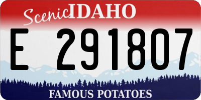 ID license plate E291807