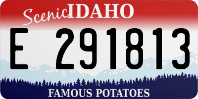 ID license plate E291813