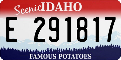 ID license plate E291817