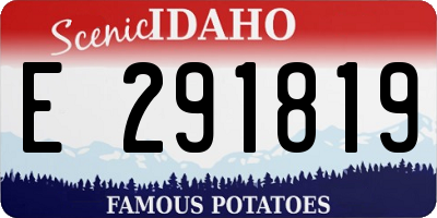 ID license plate E291819