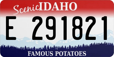 ID license plate E291821