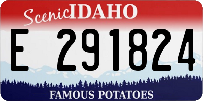 ID license plate E291824