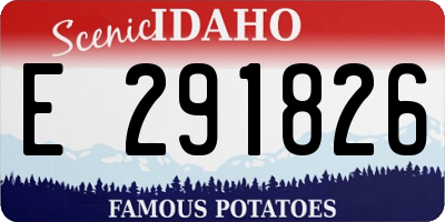 ID license plate E291826