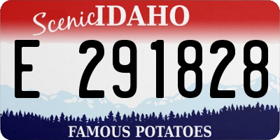 ID license plate E291828