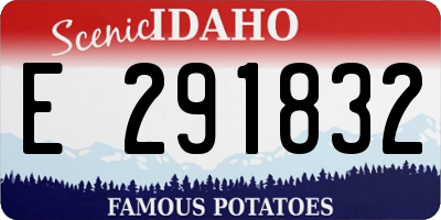 ID license plate E291832