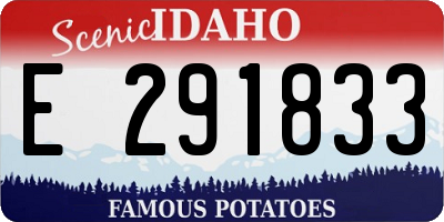 ID license plate E291833