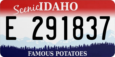 ID license plate E291837