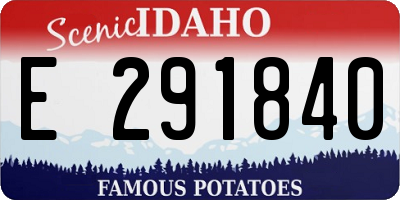 ID license plate E291840