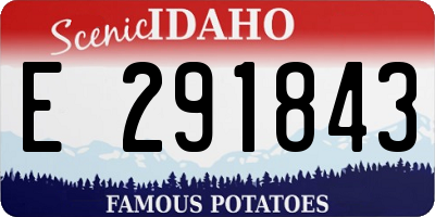 ID license plate E291843