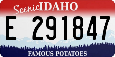 ID license plate E291847