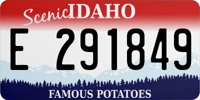 ID license plate E291849