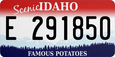ID license plate E291850