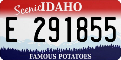 ID license plate E291855
