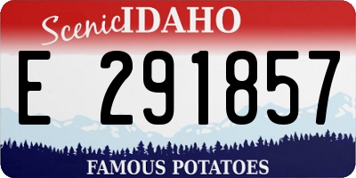 ID license plate E291857