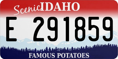 ID license plate E291859