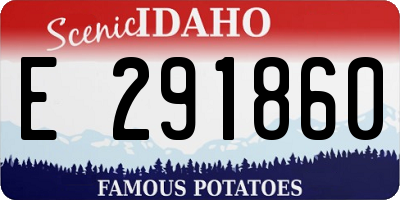 ID license plate E291860