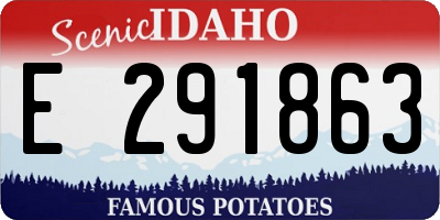 ID license plate E291863