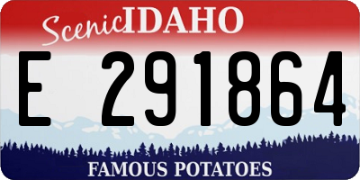 ID license plate E291864