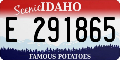 ID license plate E291865