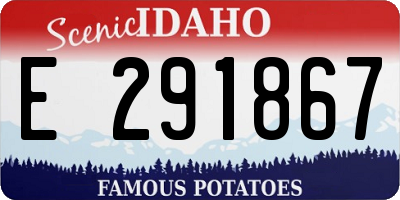ID license plate E291867