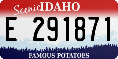 ID license plate E291871